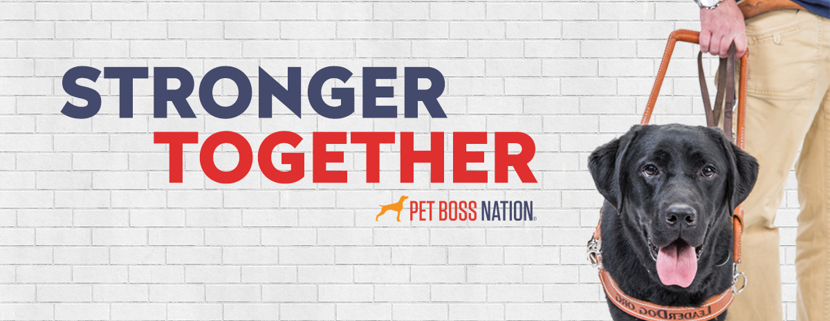 Pet Boss Nation